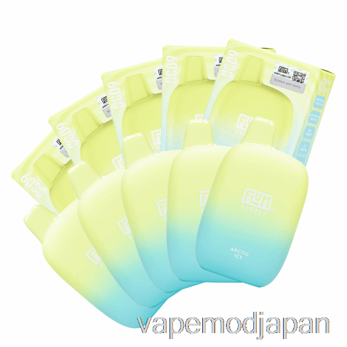 Vape Japan 【10個セット】flum Pebble 6000 使い捨て